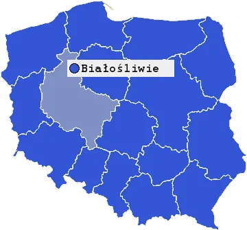 Mapa Białośliwia