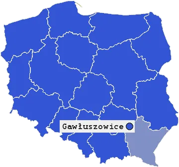 Mapa Gawłuszowic