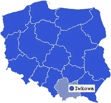 Mapa Iwkowej